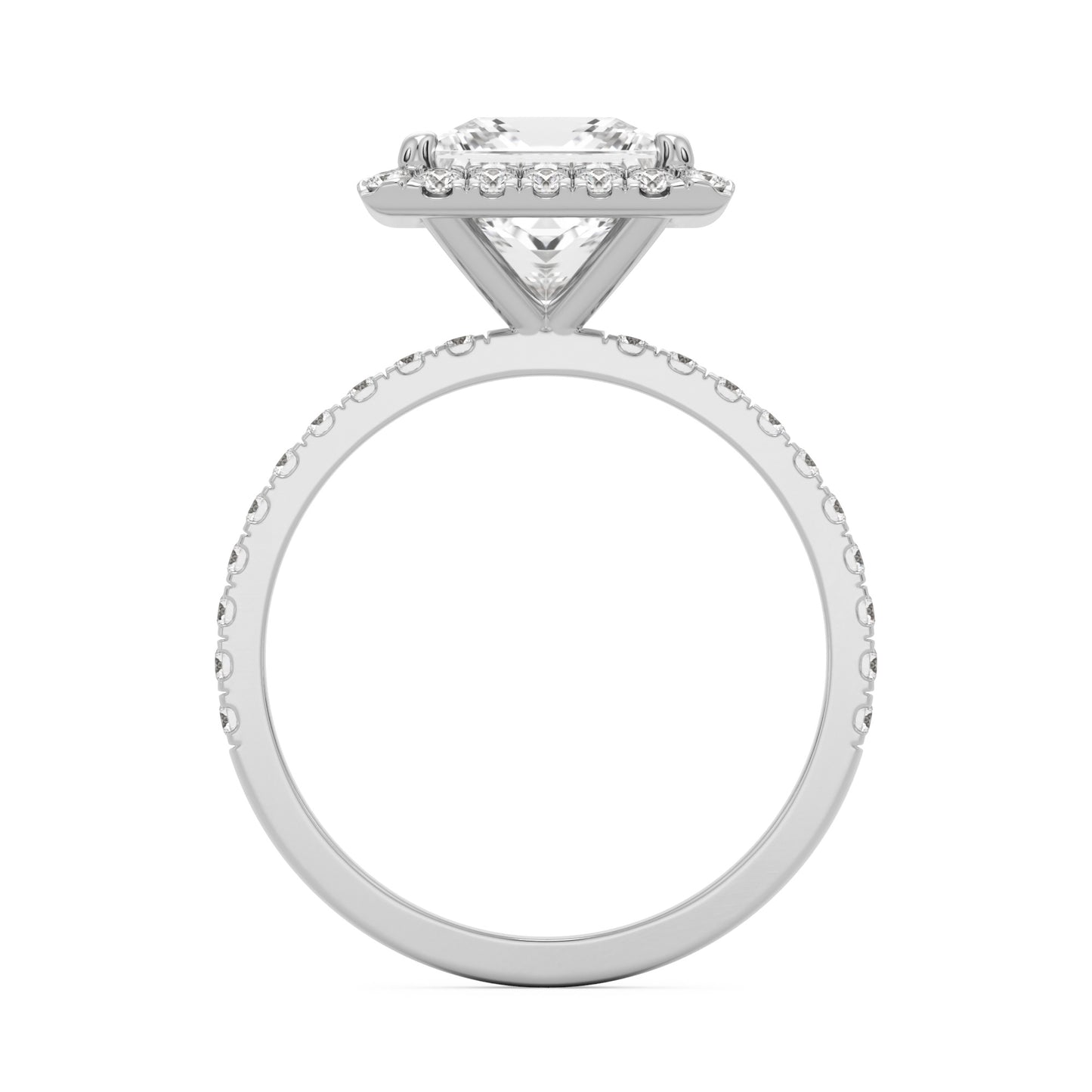 princess halo pavé 14K white gold