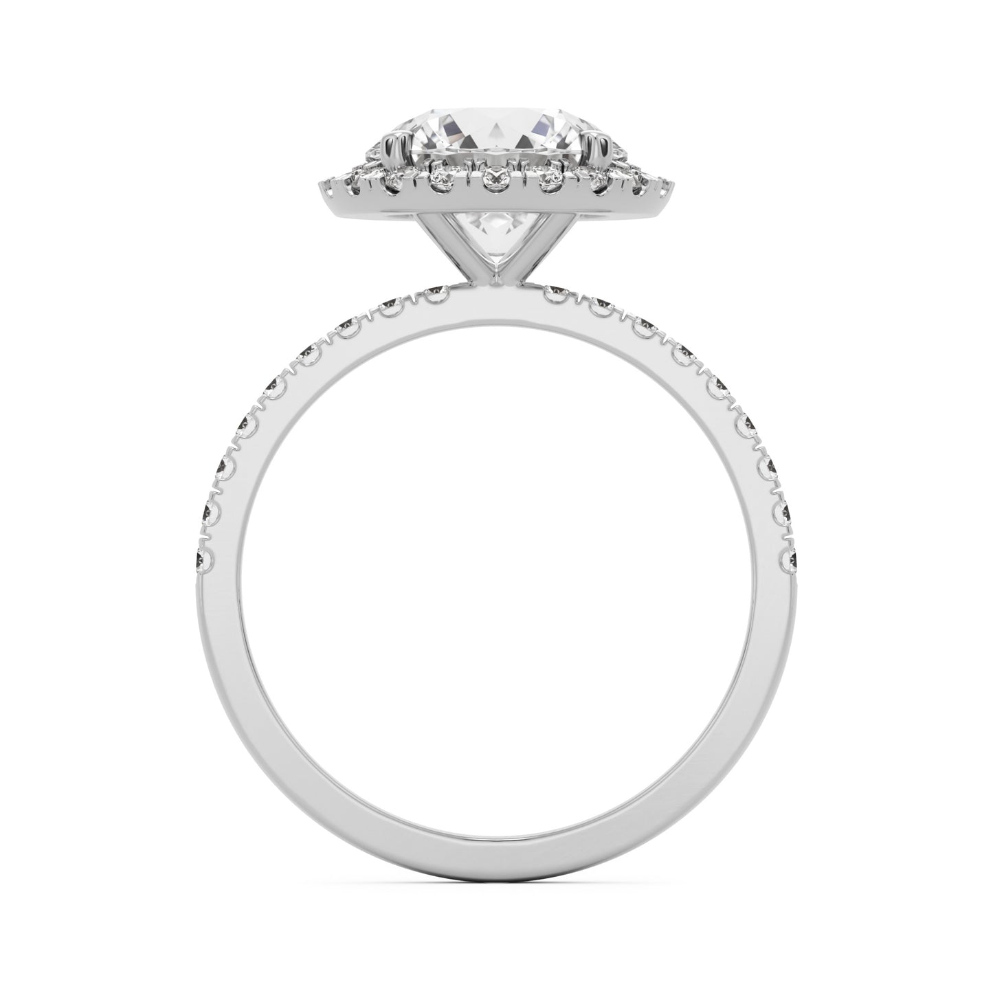 round solitaire halo pavé 14K white gold