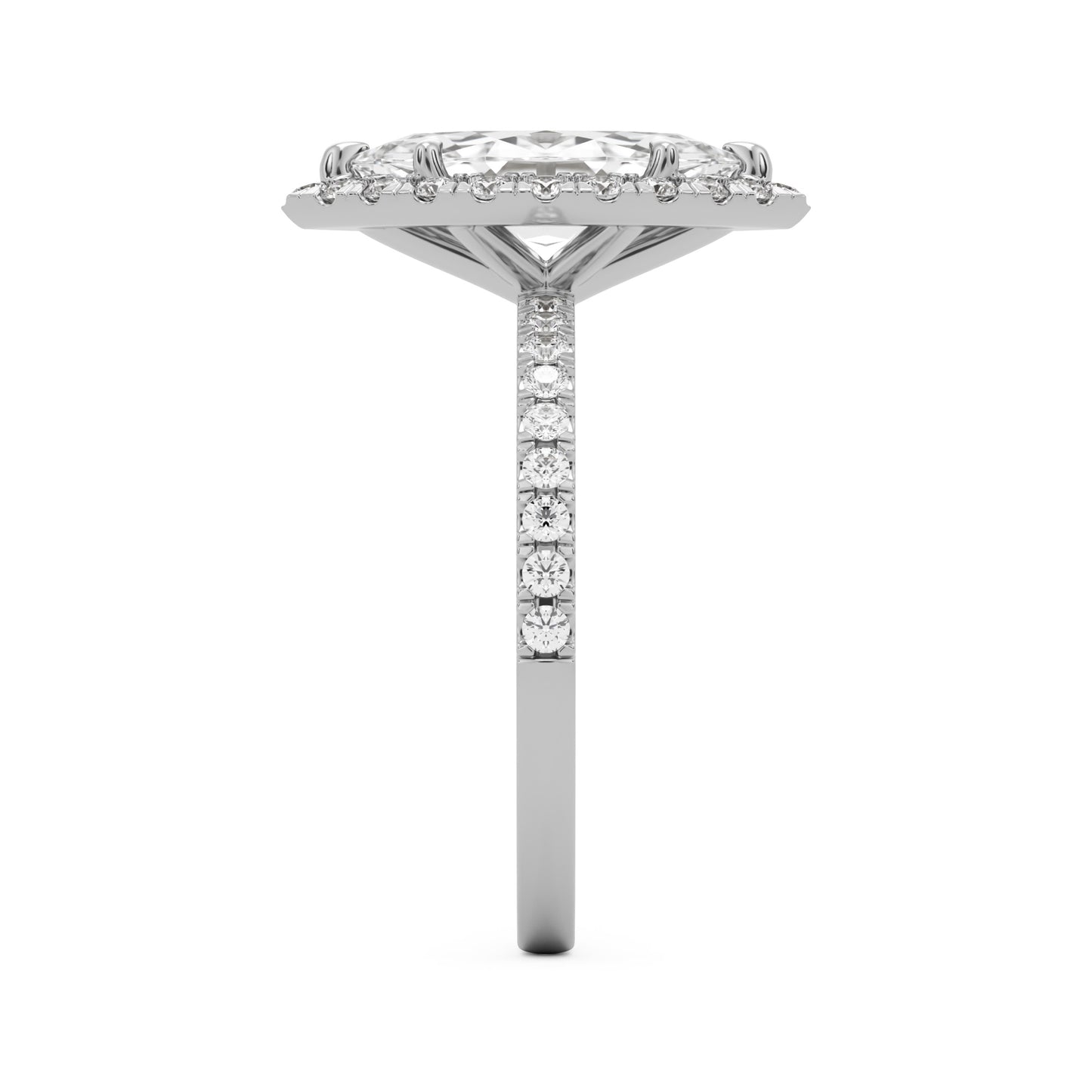 marquise moissanite halo pavé solitaire 14k white gold