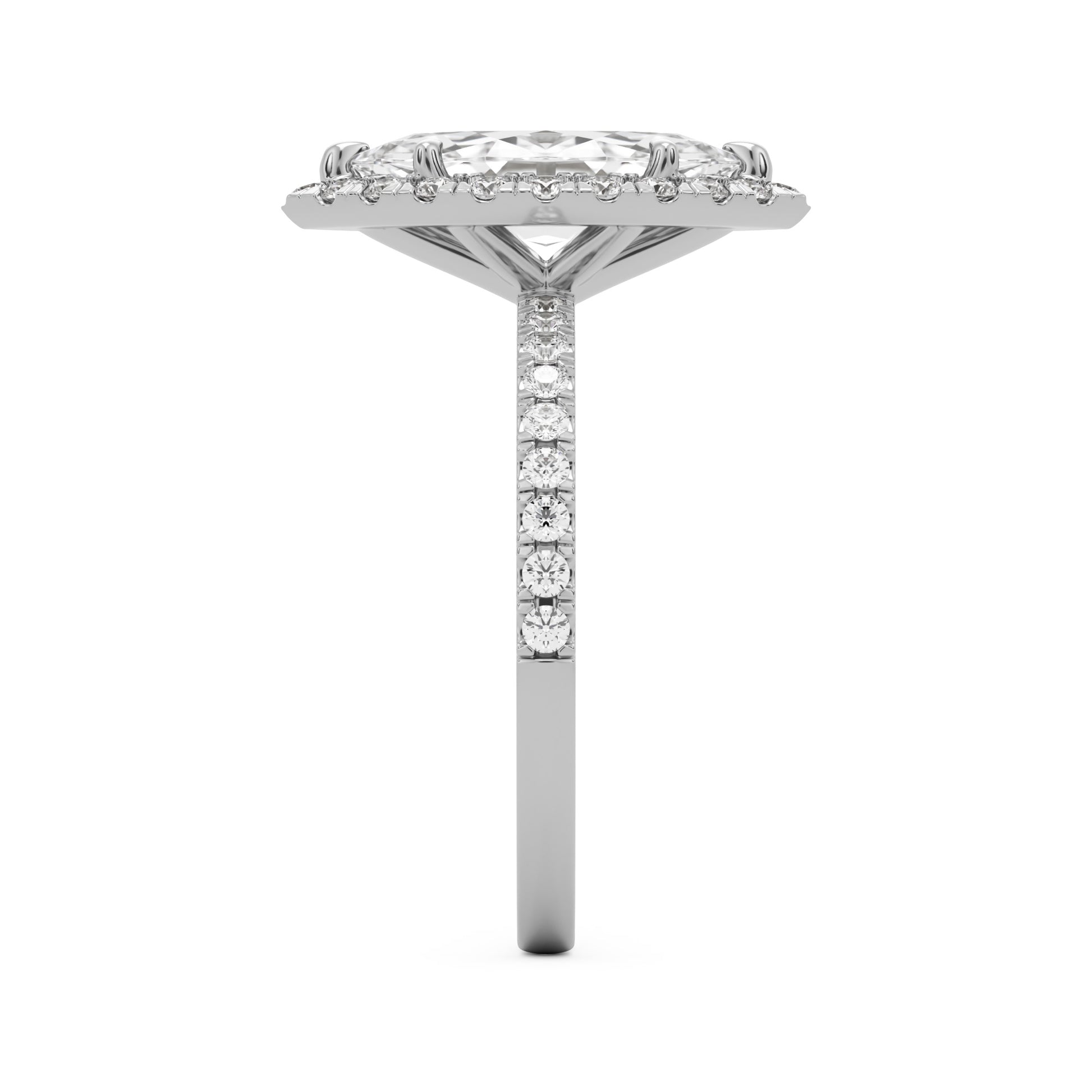 marquise moissanite halo pavé solitaire platinum