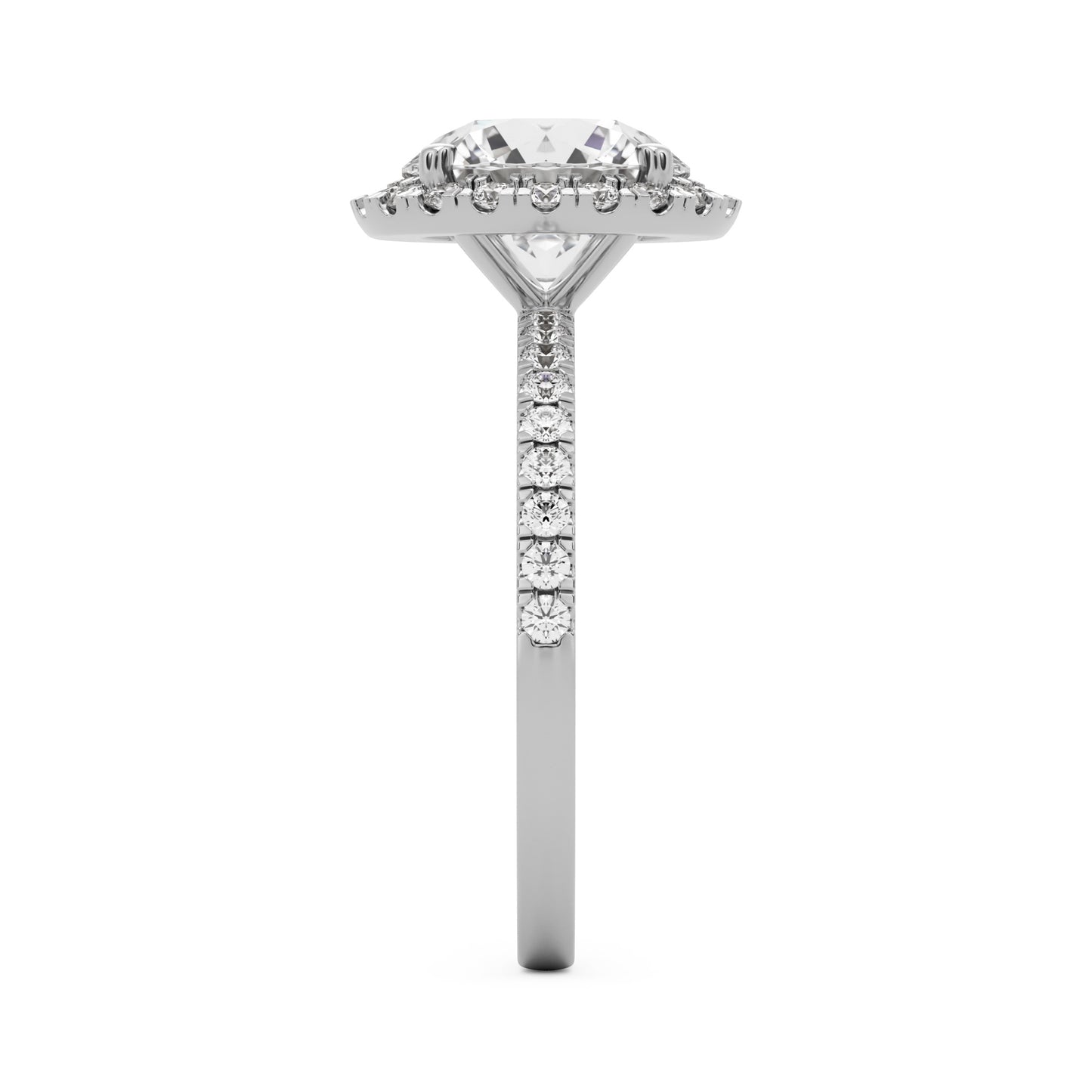 round solitaire halo pavé 14K white gold