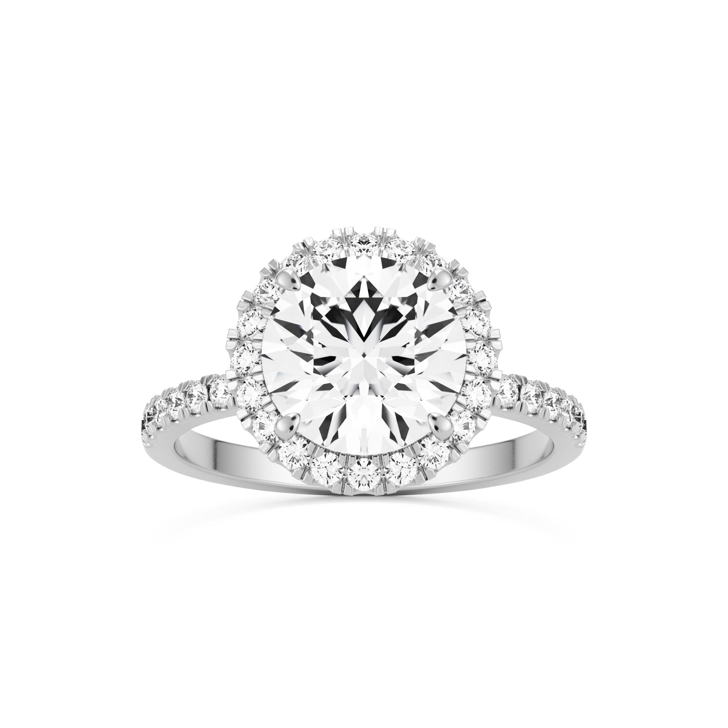 round solitaire halo pavé 14K white gold