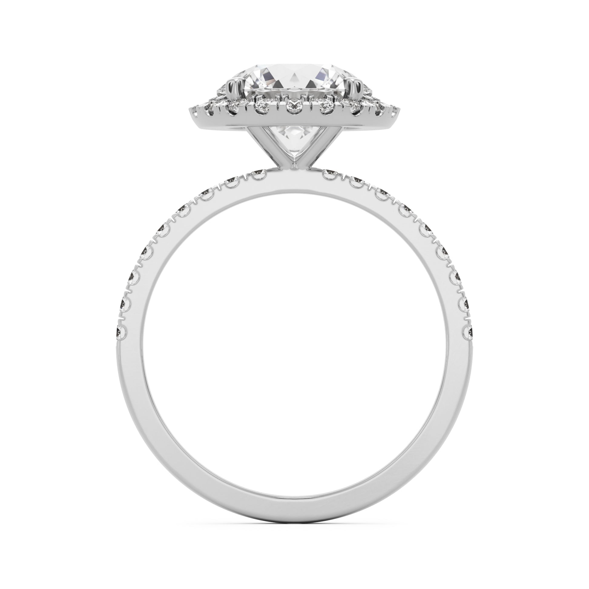round solitaire halo pavé 14K white gold